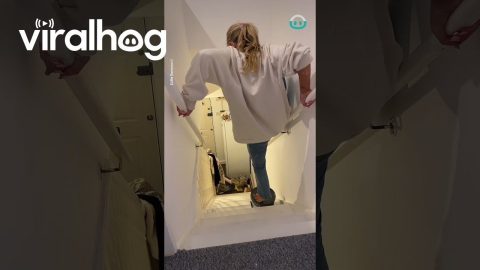 Painting Stairway HACK || ViralHog