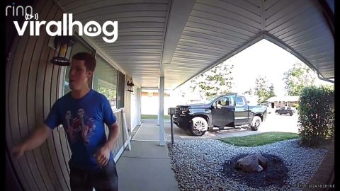 Quick Save Prevents Full Garage Door Crunch || ViralHog