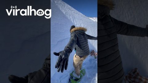 Snow Angel Fail || ViralHog