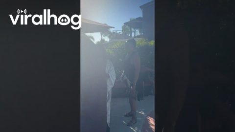 Amazon Delivery Guy Living His Best Life || ViralHog