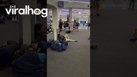 LAX Slumber Party As Outage Leaves Travelers Stranded || ViralHog