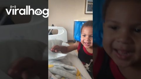 Boy Says 'Hey Baby' To New Brother || ViralHog