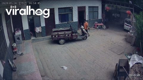 Man's Tricycle Troubles Lead to Unexpected Chaos || ViralHog