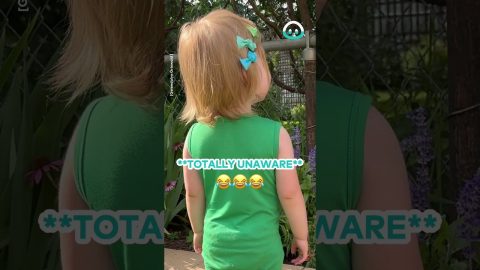 Toddler Makes Chipmunk Friend || ViralHog