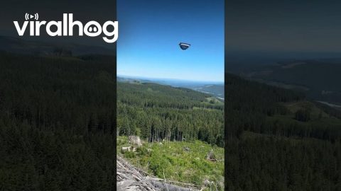 Camping Tent Flies Away || ViralHog
