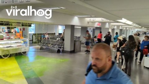 Refrigerant Leak at Miami Airport || ViralHog