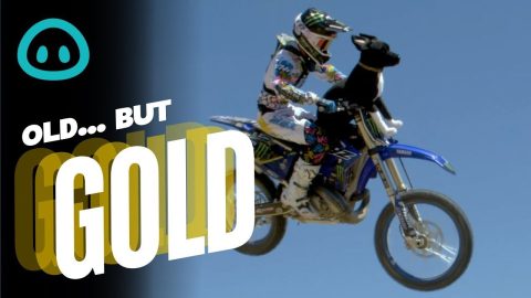 This 'Dirt Biking Dog' Is An Adrenaline Junkie || ViralHog