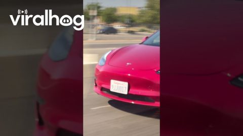 Car Drives With Sun Shield Up On California Freeway || ViralHog