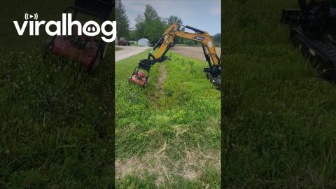 Ditch Mowing Using Mini Excavator || ViralHog