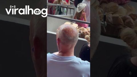 Man Bejewels Balding Head For Eras Tour || ViralHog