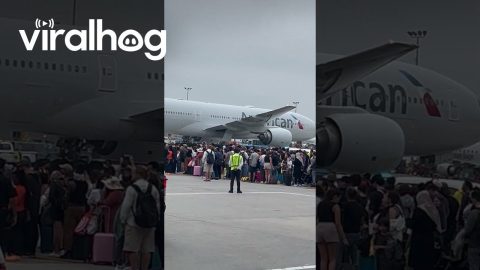 Escalator Fire At JFK Grounds Planes || ViralHog