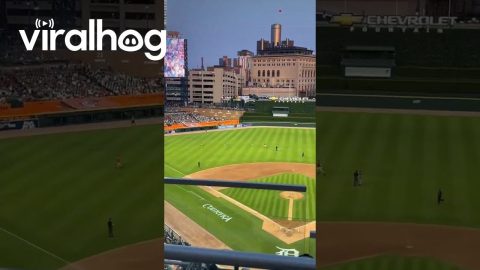 Kids Cuffed After Running Onto Field at Detroit Tigers Game || ViralHog