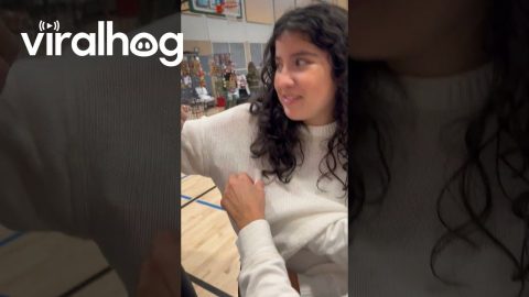 Hedgehog Climbs Up Girl's Sleeve || ViralHog