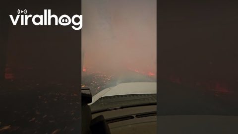 Wildland Firefighter Drives Through Intense Flames || ViralHog