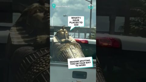 Sarcophagus Hitches Miami || ViralHog