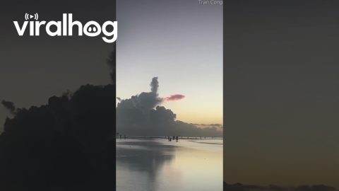 Carp Flies Through Clouds || ViralHog
