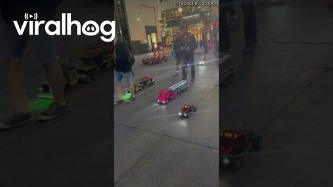 RC Semi Convoy || ViralHog