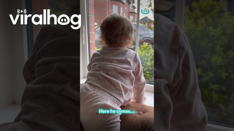 Adorable Reaction To Dad Coming Home || ViralHog