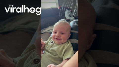 Head Massager Tickles Happy Baby || ViralHog