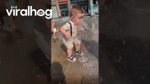 Toddler Gets Caught Off Guard by Fountain || ViralHog