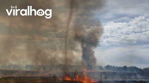 Smoke Tornado Over Wildfire || ViralHog