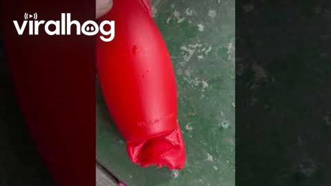Factory Production of Toy Bowling Set || ViralHog