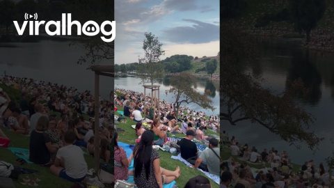 Ticketless Taylor Swift Fans Gather Outside Venue || ViralHog