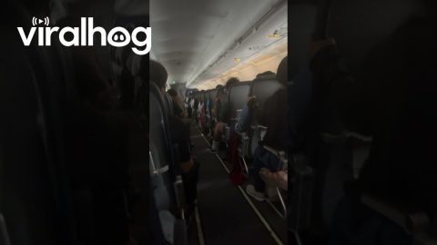 Passengers React to Extreme Flight Turbulence || ViralHog