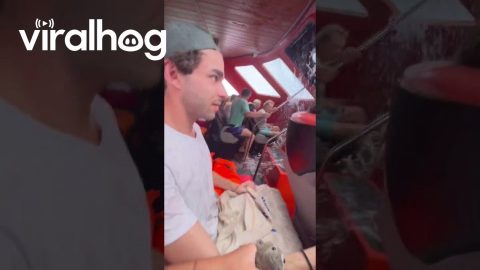Luggage And Passengers Get Soaked During Bali Crossing || ViralHog