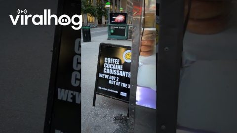 New York Street Wisdom || ViralHog