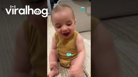 Bubba's Face Lights Up when Dad Returns || ViralHog