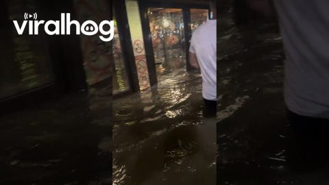 Severe Flooding in Belgrade || ViralHog