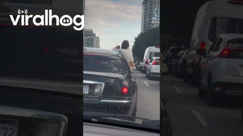Passenger Takes Selfies While Stuck in Traffic || ViralHog