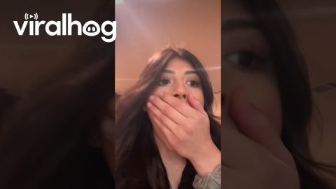 Mopping Woman Screams At Outside Hail || ViralHog