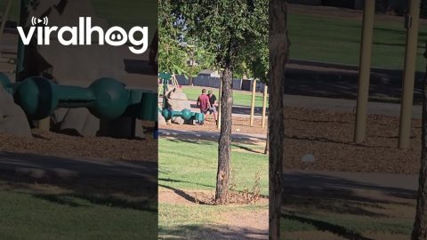 Ballsy Business Transaction In Public Park || ViralHog