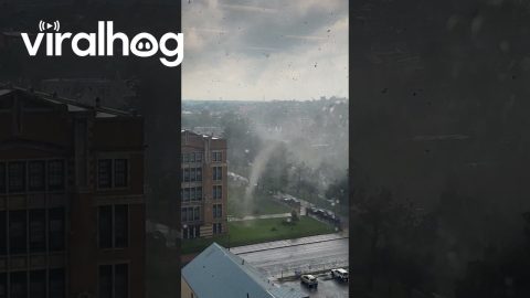 Tornado Touches Down in Buffalo, New York || ViralHog