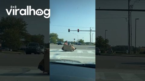 Man Rides Motorized Recliner on Sidewalk || ViralHog