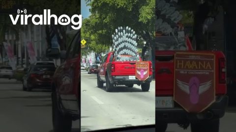Chancleta Sandal Throne Spotted On Miami Street || ViralHog