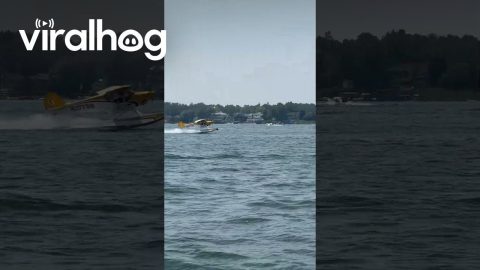 Seaplane Fails Takeoff on Lake Wawasee || ViralHog
