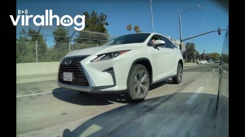 Lexus Driver Upset When He Wasn't Let In || ViralHog