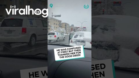 Stranger Clears Snow From Car Window || ViralHog