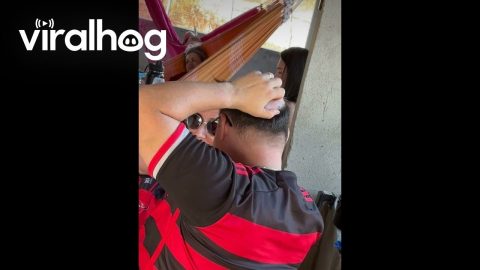 Man Caught Lifting Toupee to Scratch an Itch || ViralHog