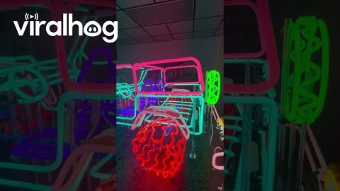 3D Neon Glass Jeep || ViralHog