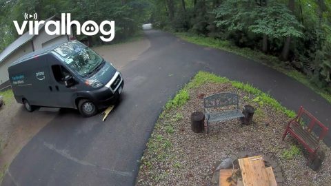 Amazon Driver Appears to Damage Tree || ViralHog