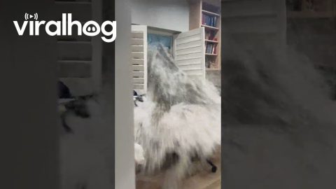 Storm Water Blasts Through Window || ViralHog