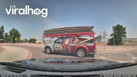Roundabouts Are Hard || ViralHog