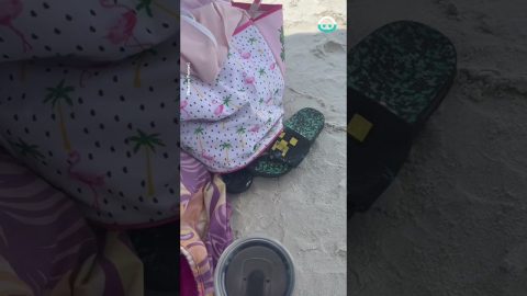 Cute Crab Plays In Sandals || ViralHog