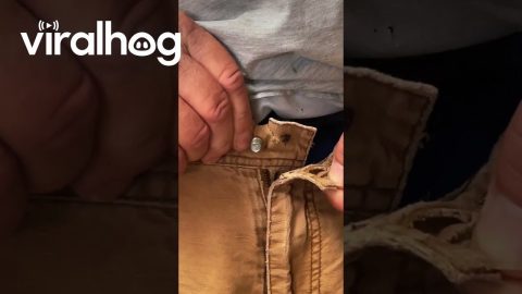 Man Fixes Missing Button With Carriage Bolt || ViralHog