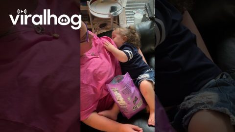 She Feeds Me While I Feed Her || ViralHog