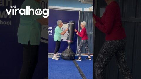 Boxing Grannies || ViralHog